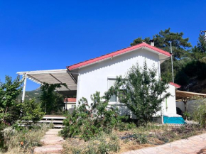 Detached house surrounded by fruit trees, very close to Olympos and Çıralı